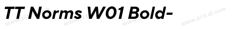 TT Norms W01 Bold字体转换 TT Norms W01 Bold字体转换